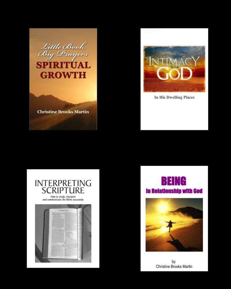 ABIDE - Faith In Focus (A Monthly Christian Books Subscription & Weekly Reading Community To Help You Grow Spiritually. Deepen Your Prayer Life. Transform Every Area of Your Life.
