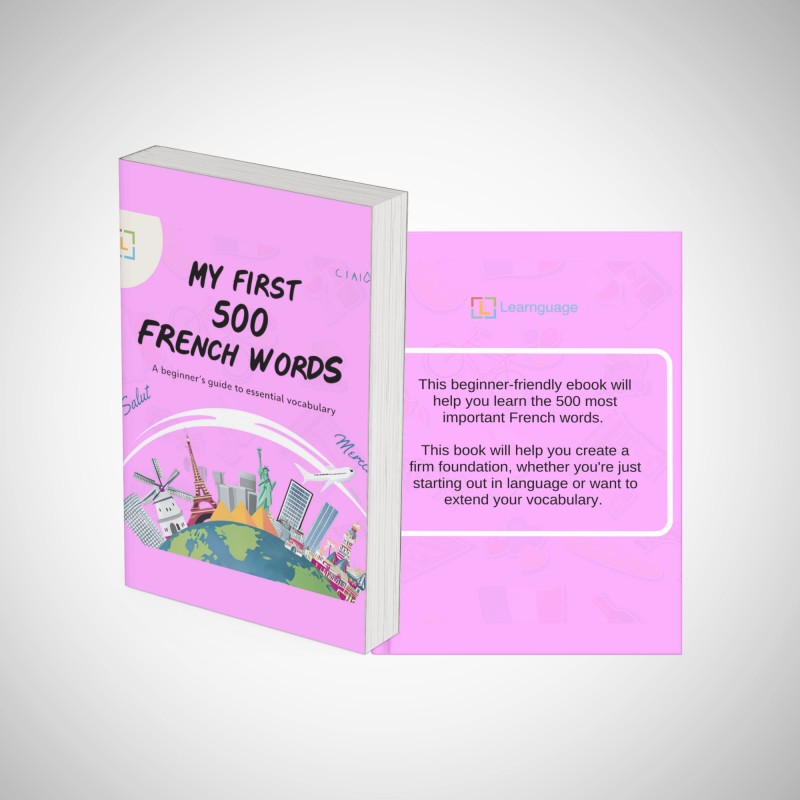 My First 500 French Words