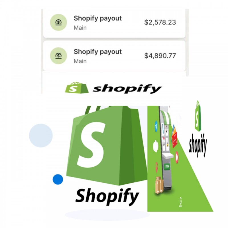 Make Money On Shopify With Shopify AI Built Store