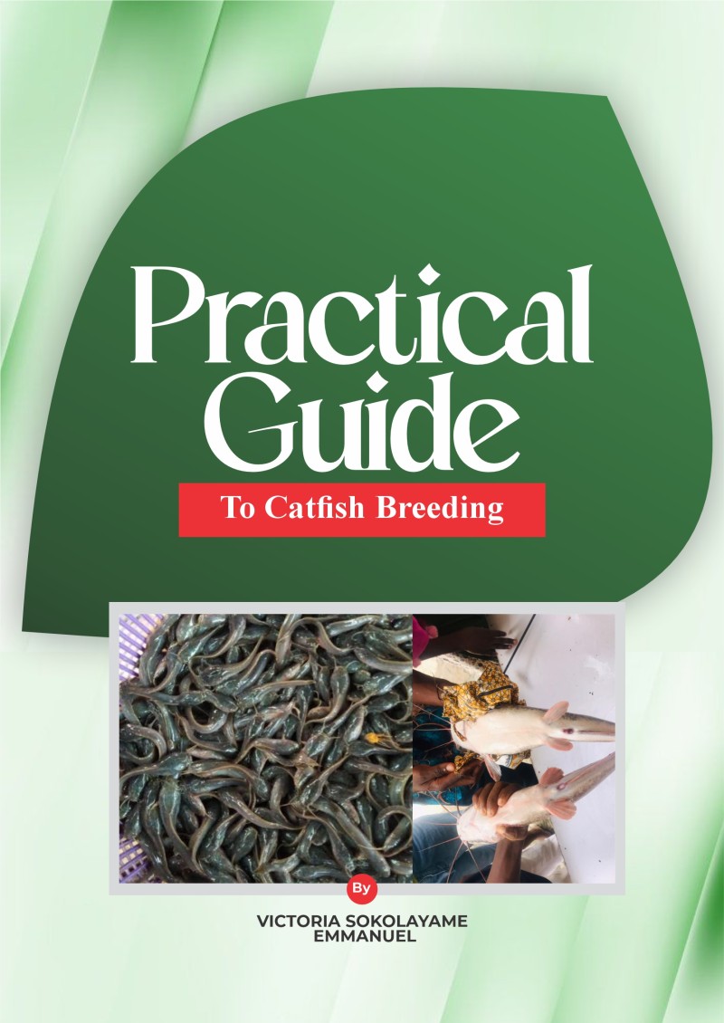 Practical Guide to Catfish Breeding