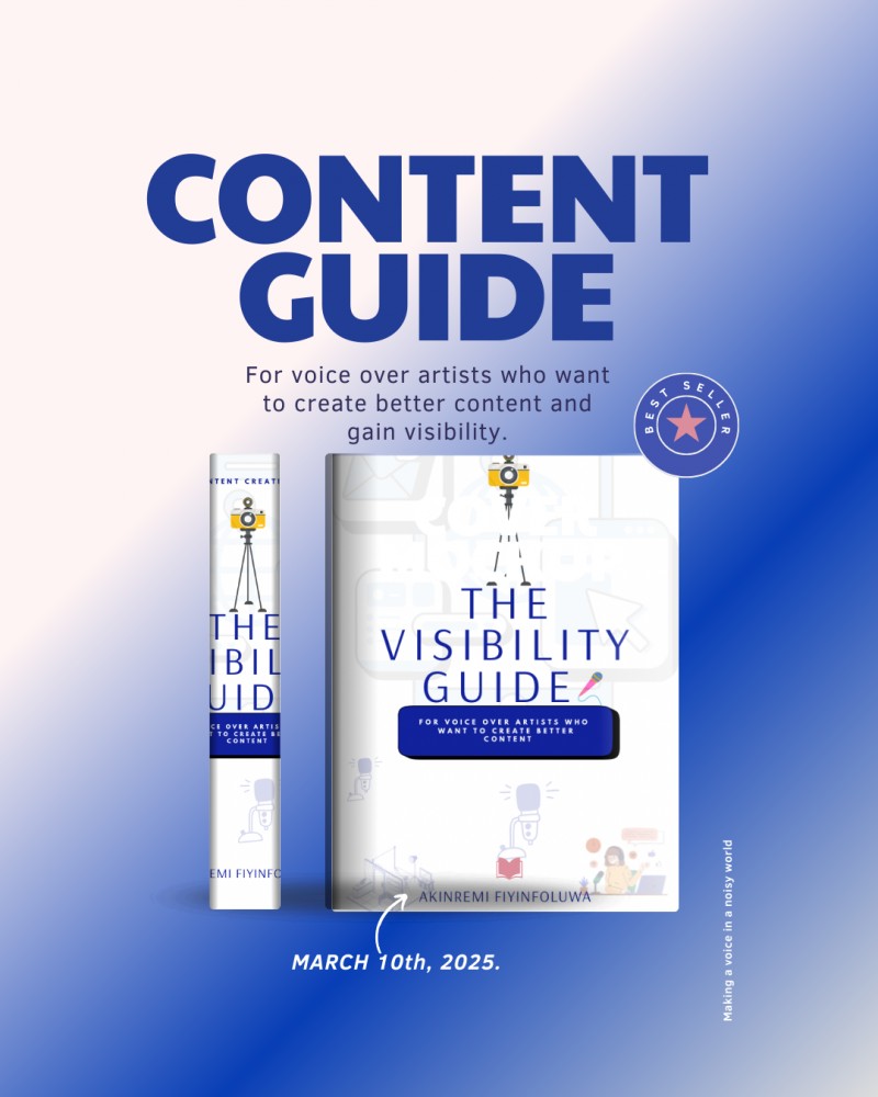 THE VISIBILITY GUIDE