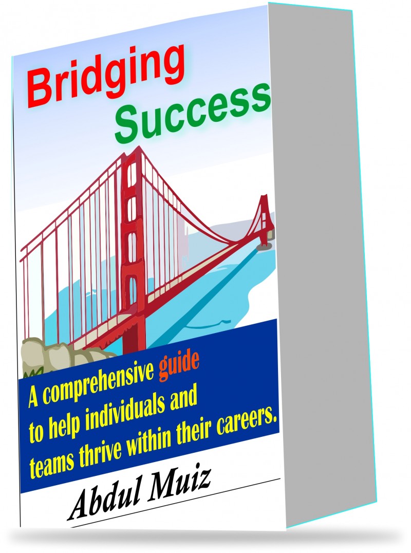 Bridging Success (A COMPREHENSIVE GUIDE FOR TEAMS, COMPANY AND INTERVIEWERS)