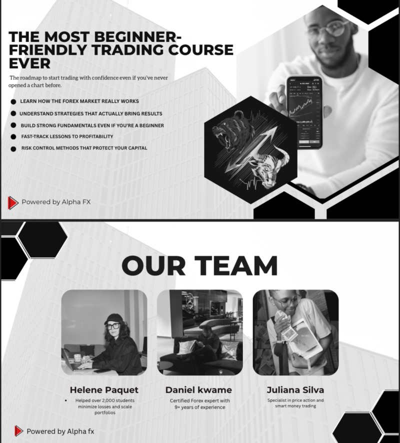The Most Beginner- Friendly Trading Course Ever