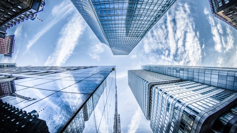 Business Structure - Africa