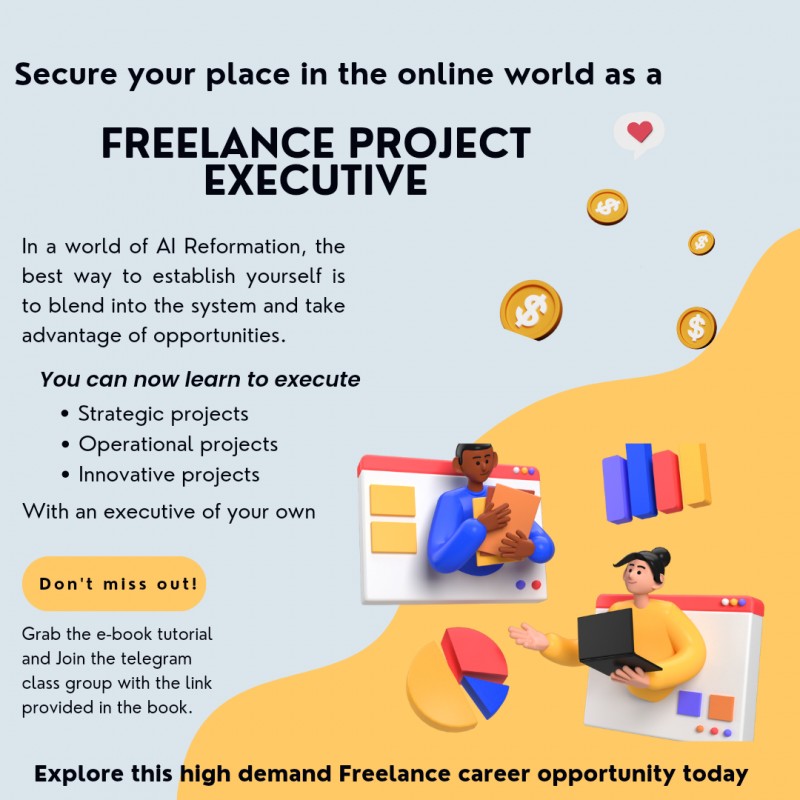 Buy Freelance Project Executive Tutorial by Adanna Ibezue on Selar