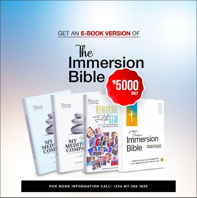 Immersion Bible Series
