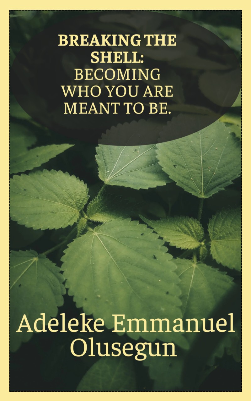 Breaking The Shell ( becoming who you meant to be