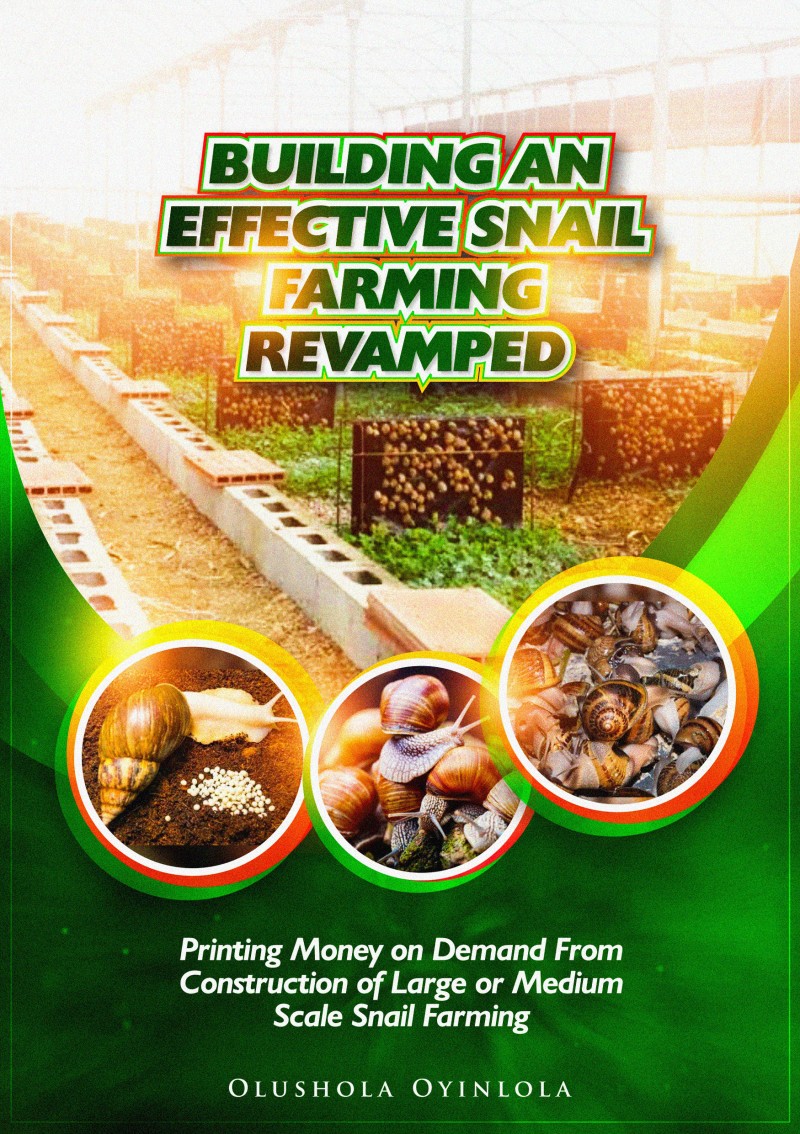 BUILDING AN EFFECTIVE SNAIL FARMING REVAMPED (Printing Money on Demand From Construction Of Large Or Medium Scale Snail Farming)
