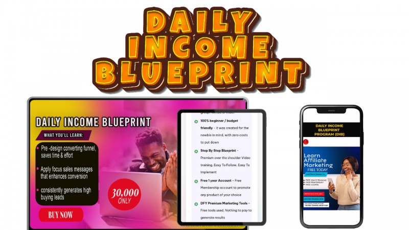 Daily Income Blueprint Program