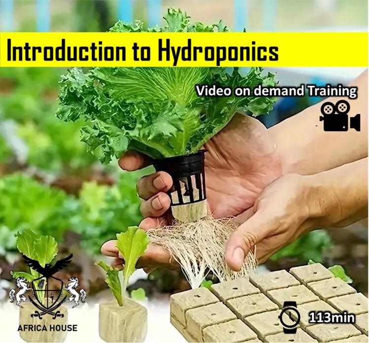 Introduction to Hydroponics