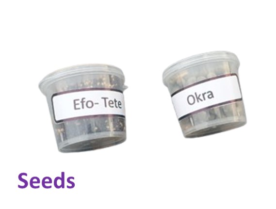 Organic Hydroponics Growing Kit AW5L