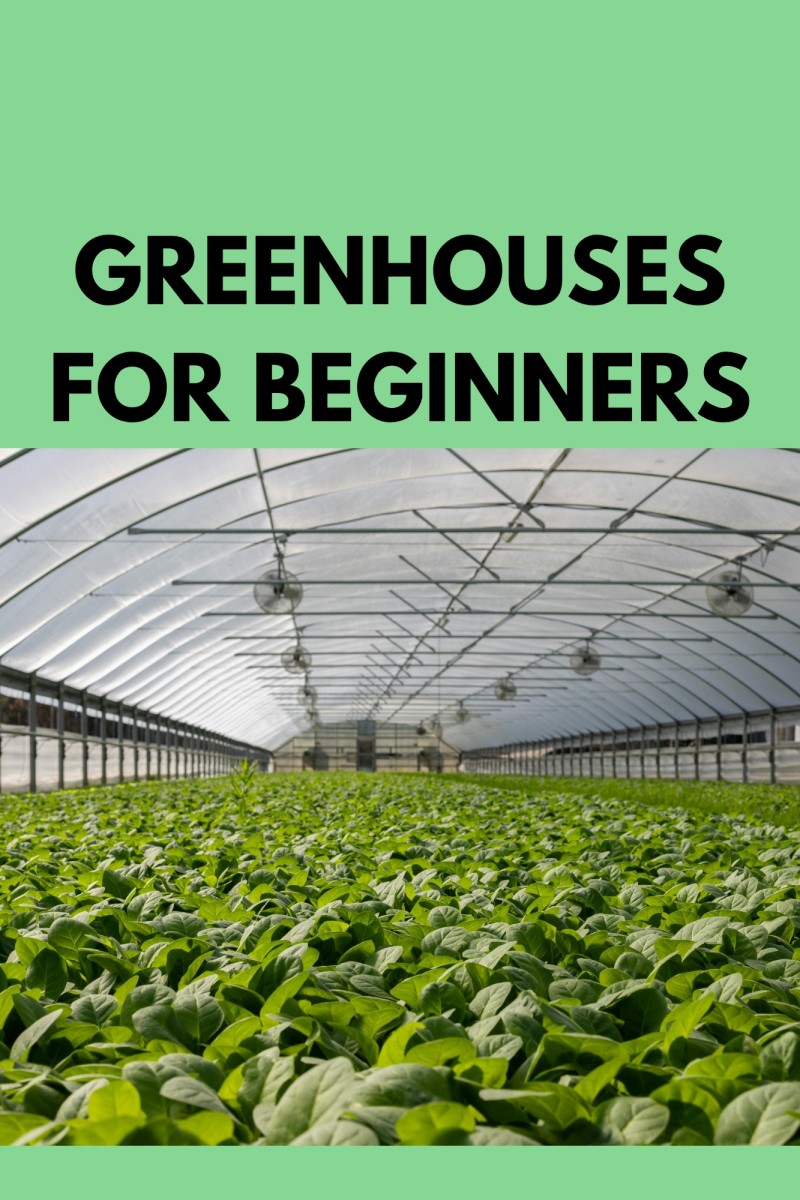 GREENHOUSES FOR BEGINNERS