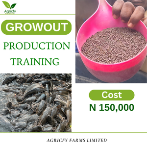 Catfish Growout Production Training