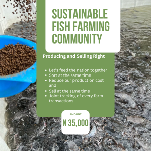 Sustainable Fish Farming Community