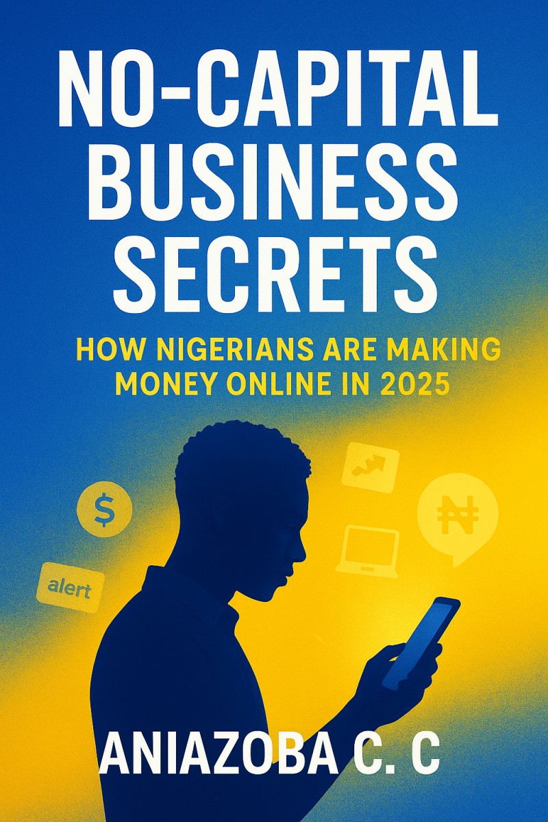 No-Capital Business Secrets: How Nigerians are making money online.