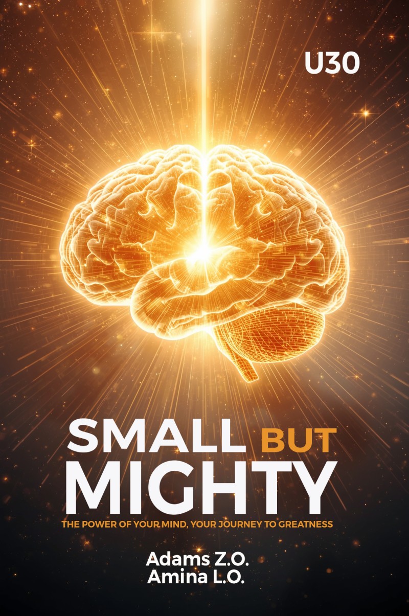 Buy Small but MIGHTY by Alfa Books on Selar