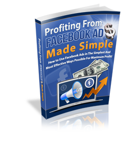 Profiting from Facebook Ad course