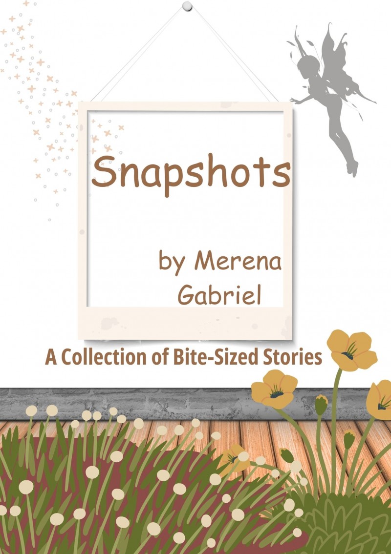Snapshots
