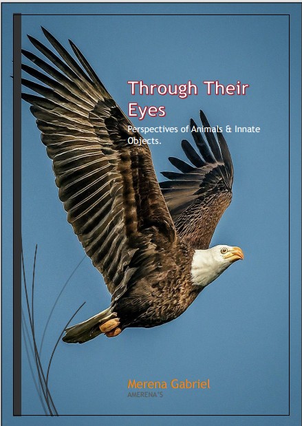 Through Their Eyes