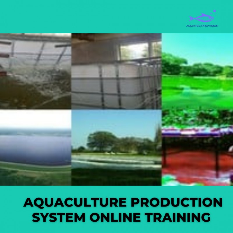 Aquaculture production system Training