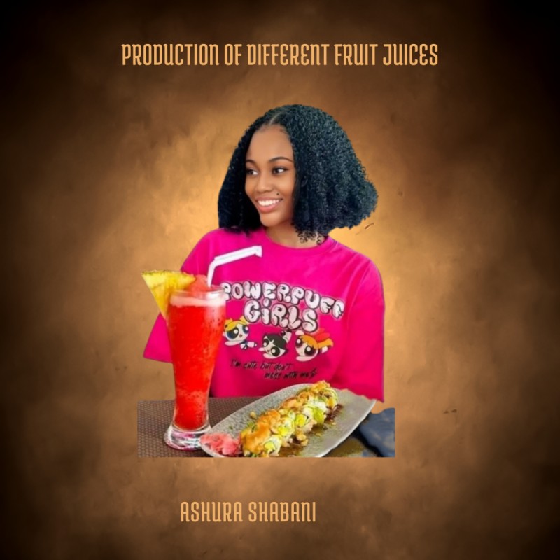 PRODUCTION OF DIFFERENT FRUIT JUICES FOR HOME AND BUSINESS