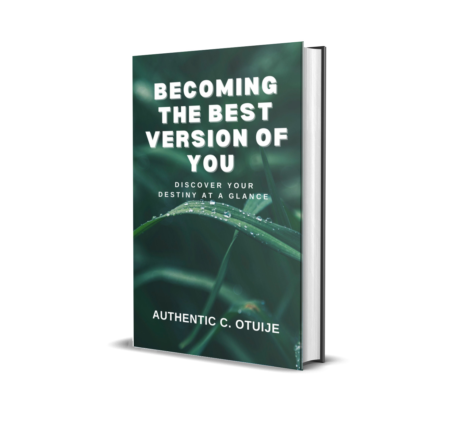 BECOMING THE BEST VERSION OF YOU