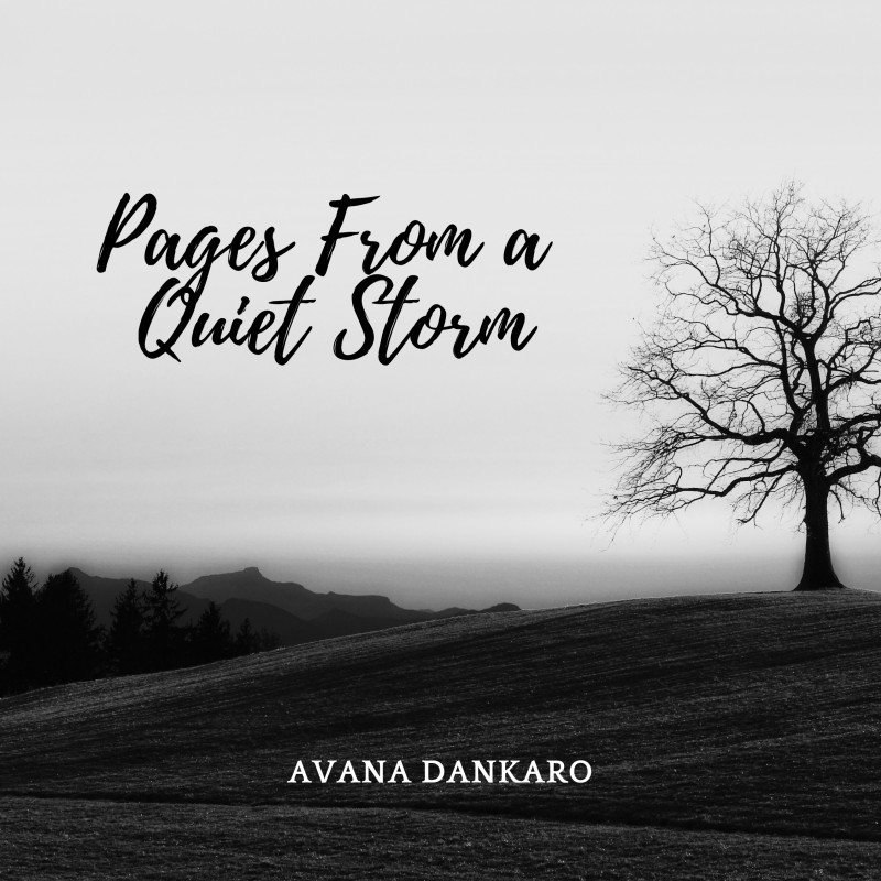 Pages From a Quiet Storm