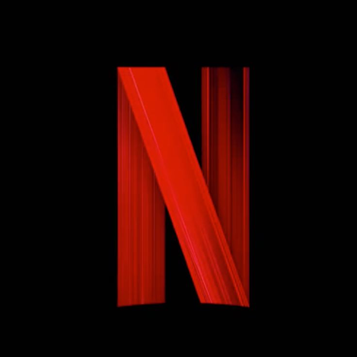 Netflix Subscription