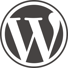 Website Development Service