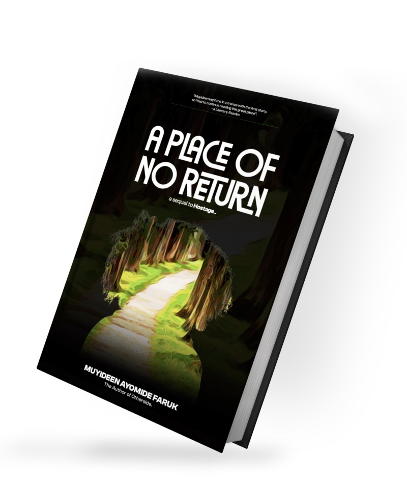 A Place Of No Return(Paperback)