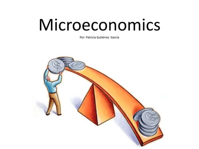 MICROECONOMICS FULL LECTURE NOTES
