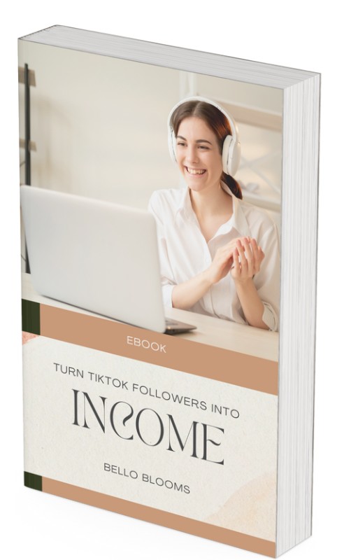 Turn TikTok  Followers Into Income(e book)