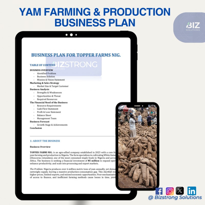Yam Farming Business Plan
