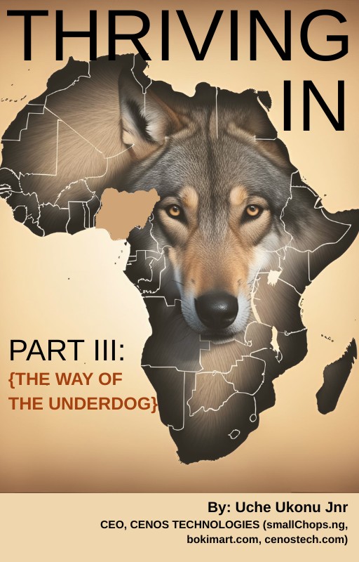 Thriving in Nigeria Part Three: The Way of The Underdog