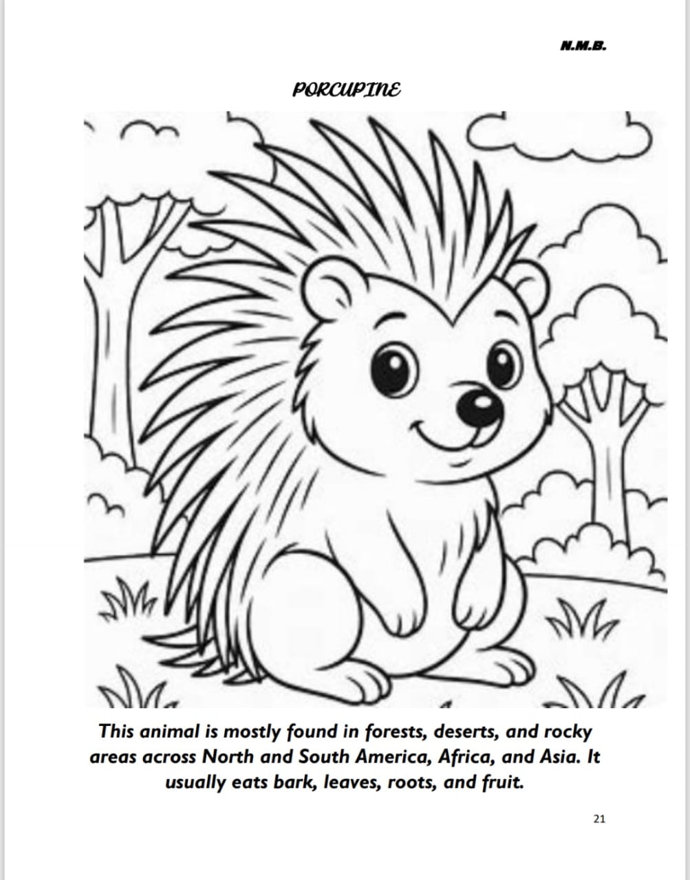 ANIMAL COLOURING BOOK