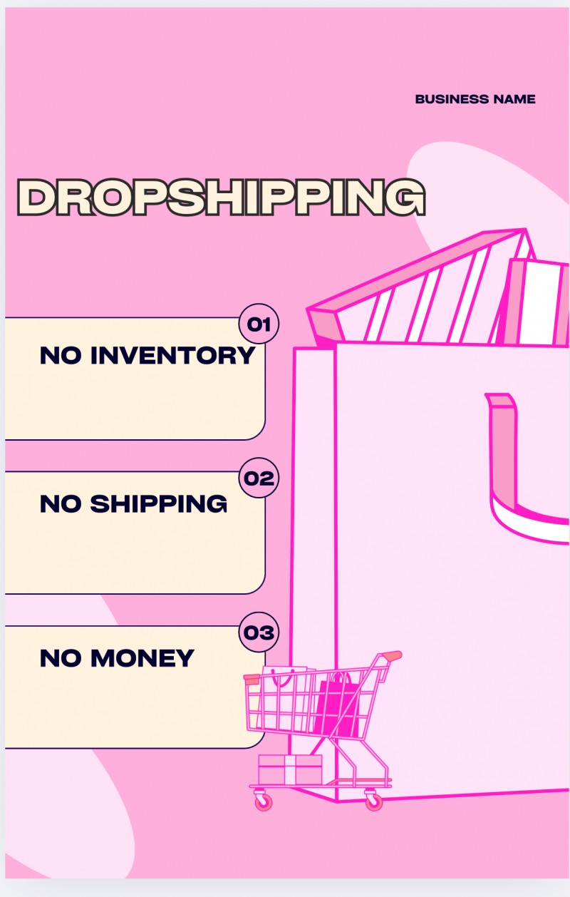Buy E-Commerce Dropshipping by TheGlobal on Selar