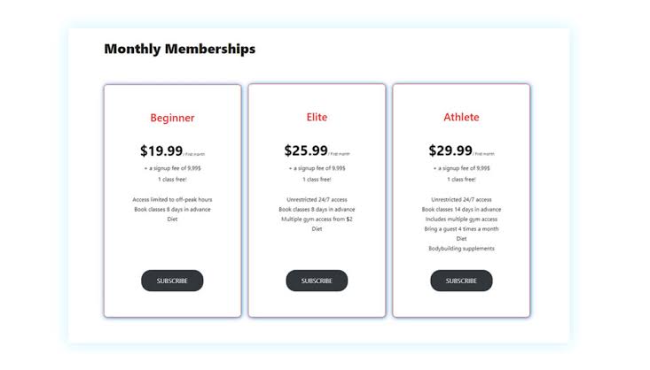 One month subscription plan