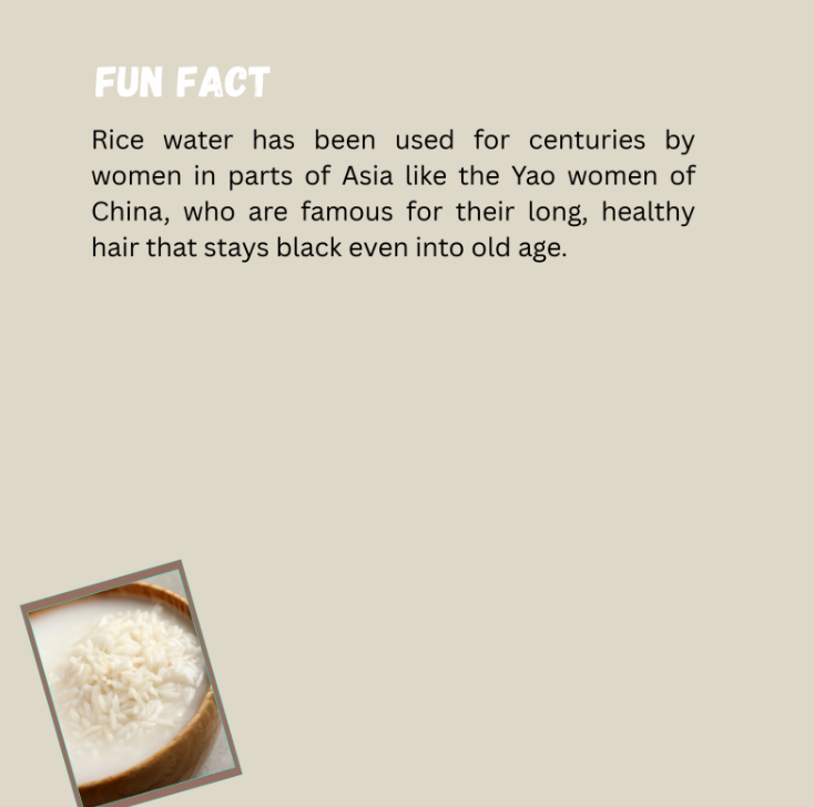 Rice Water Reset: A Natural Hair Rinse