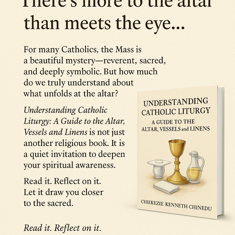 Buy Understanding Catholic Liturgy: A Guide to the Altar, Vessels and ...