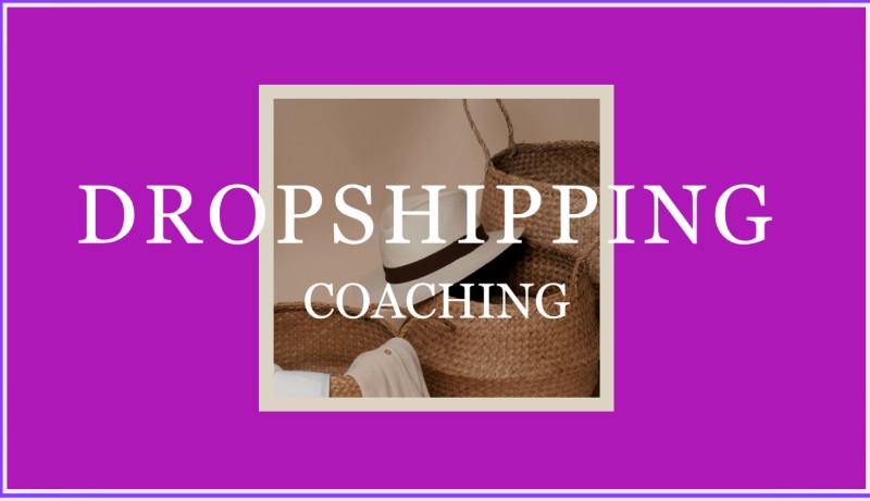 Dropshipping coaching call