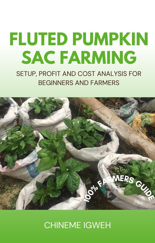 FLUTED PUMPKIN SAC FARMING SETUP, PROFIT AND COST ANALYSIS FOR BEGINNERS AND FARMERS
