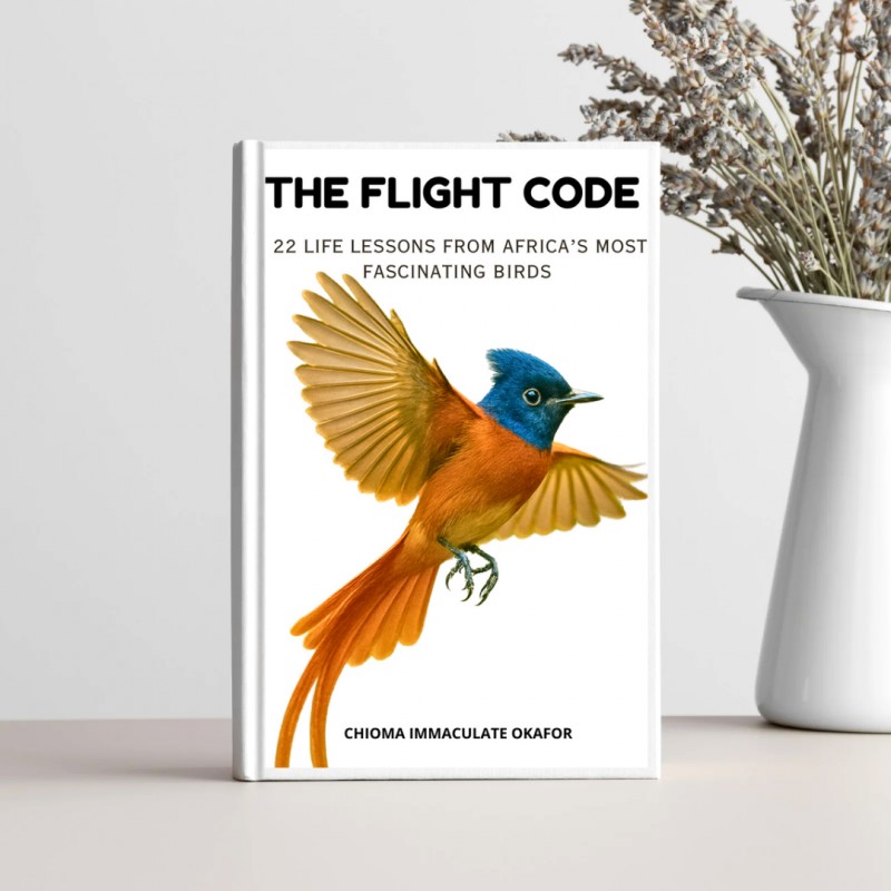 The Flight Code: 22 Life Lessons From Africa's Most Fascinating Birds