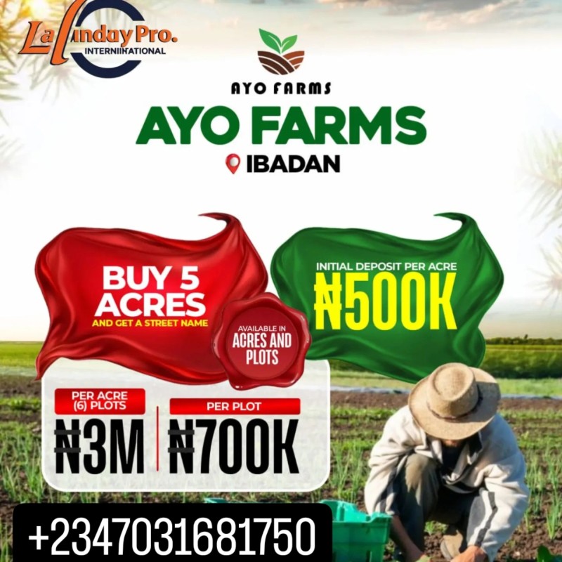 AYO FARM IBADAN