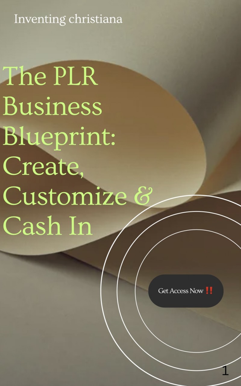 THE PLR BUSINESS BLUEPRINT