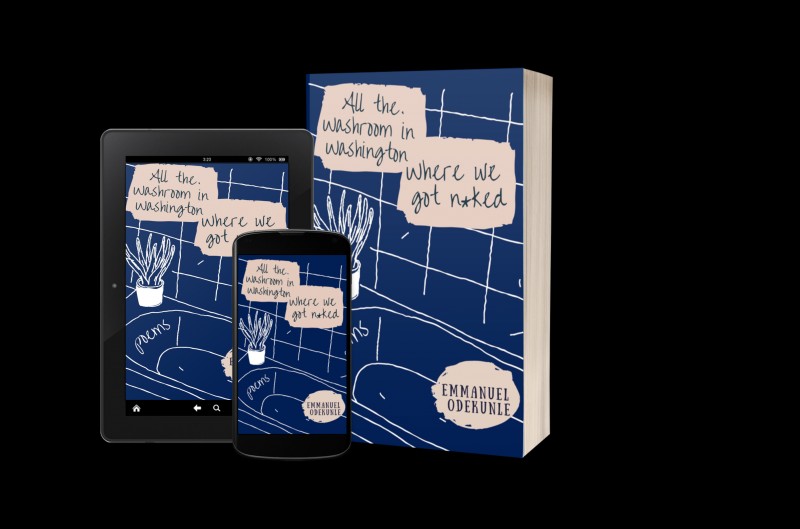 All the Washrooms in Washington Where We Got Naked: A Poetry Collection on Memory, Desire, and Letting Go