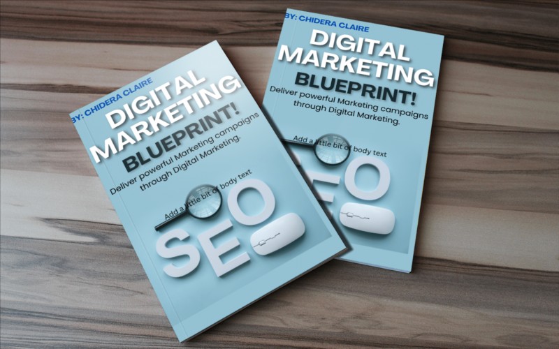 Buy DIGITAL MARKETING BLUEPRINT by claire ohah on Selar