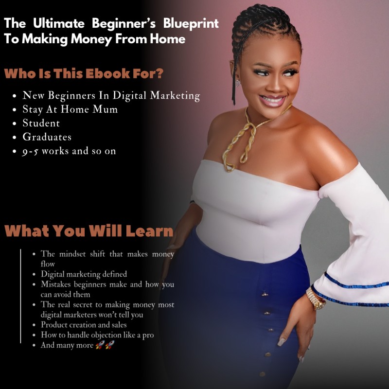THE ULTIMATE BEGINNER'S BLUEPRINT TO MAKING MONEY FROM HOME