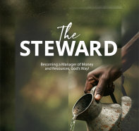 The Steward
