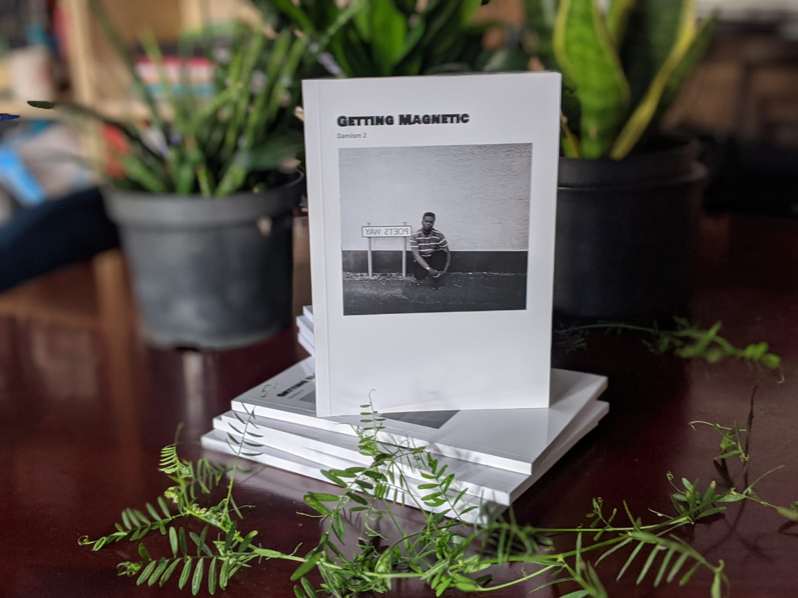 GETTING MAGNETIC - Damiism 2 (2018)