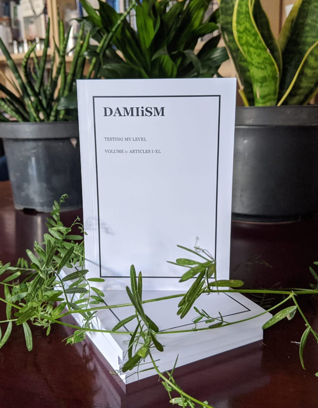 TESTING MY LEVEL - Damiism 1